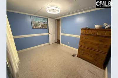 219 Woodland Drive, Swansea, SC 29160 - Photo 26