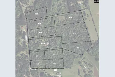 Tbd Dog Leg Road #8, Leesville, SC 29070 - Photo 1