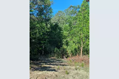 1089 Chestnut Hill Road, Elgin, SC 29045 - Photo 16