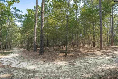 1467 Springvale Road, Lugoff, SC 29078 - Photo 60