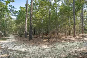 1467 Springvale Rd, Lugoff, SC 29078 - Photo 60