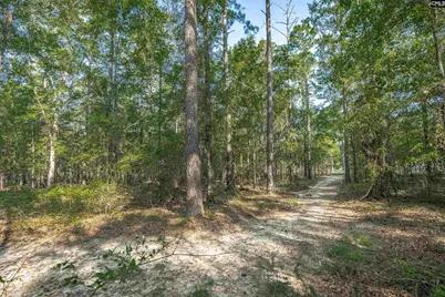 1467 Springvale Road, Lugoff, SC 29078 - Photo 58