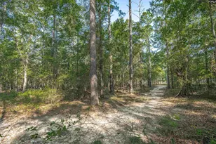 1467 Springvale Rd, Lugoff, SC 29078 - Photo 58
