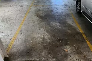 1825 St Julian Pl, Columbia, SC 29204 - Photo 32