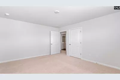 521 Leathertree Lane, Blythewood, SC 29016 - Photo 30