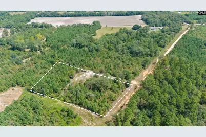 Bachman Dykes Road, Swansea, SC 29160 - Photo 8