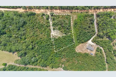 Bachman Dykes Road, Swansea, SC 29160 - Photo 10