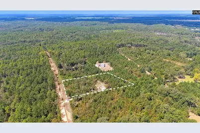 Bachman Dykes Road, Swansea, SC 29160 - Photo 4