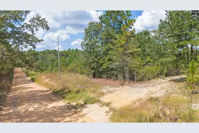 Bachman Dykes Road, Swansea, SC 29160 - Photo 1