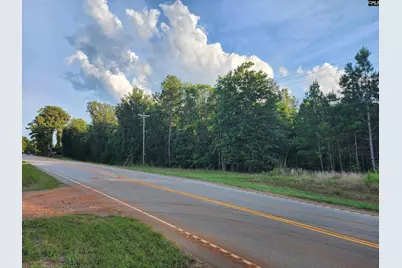 13294 State Hyw 215 South Highway S #Track B, Jenkinsville, SC 29065 - Photo 4