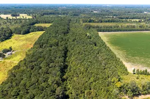 330 Pinecrest Dr, Sumter, SC 29153 - Photo 8