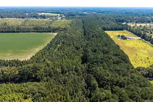 330 Pinecrest Dr, Sumter, SC 29153 - Photo 12