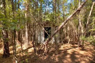 330 Pinecrest Dr, Sumter, SC 29153 - Photo 26