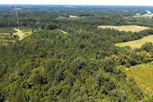 330 Pinecrest Dr, Sumter, SC 29153 - Photo 10