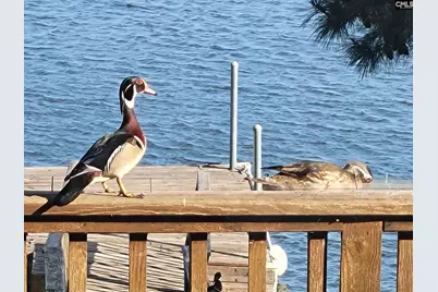 1366 Camping Road, Gilbert, SC 29054 - Photo 28