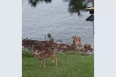 1366 Camping Road, Gilbert, SC 29054 - Photo 32