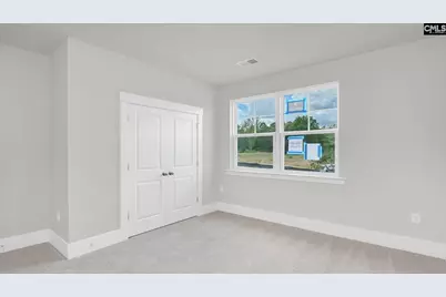 286 Livingston Woods Drive, Irmo, SC 29063 - Photo 22