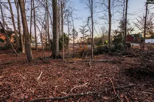 Green Meadow Dr, Chapin, SC 29036 - Photo 12