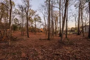 Green Meadow Dr, Chapin, SC 29036 - Photo 18