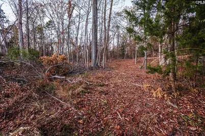 Green Meadow Drive #10, Chapin, SC 29036 - Photo 10