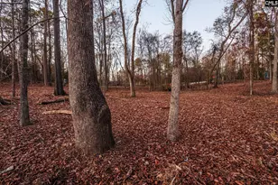 Shamrock Ct, Chapin, SC 29036 - Photo 16