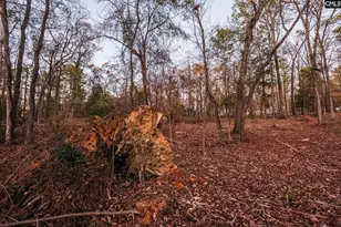 Shamrock Ct, Chapin, SC 29036 - Photo 20