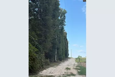 320 Southland Road, Gilbert, SC 29054 - Photo 16