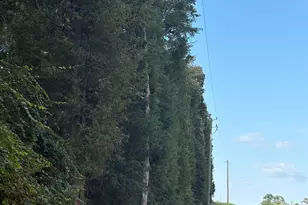 320 Southland Rd, Gilbert, SC 29054 - Photo 16