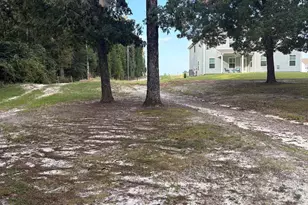 320 Southland Rd, Gilbert, SC 29054 - Photo 4