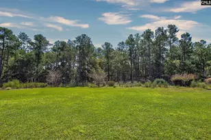 74 Lillifield Dr, Elgin, SC 29045 - Photo 32