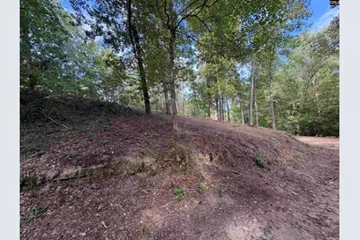 80 Valley 1 Drive, Ridgeway, SC 29180 - Photo 4