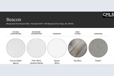 230 Backspin Drive, Elgin, SC 29045 - Photo 4