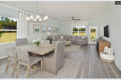 145 Monroe Preserve Drive, Chapin, SC 29036 - Photo 4