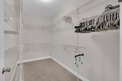 123 Jasmine Bay Lane, Chapin, SC 29036 - Photo 30