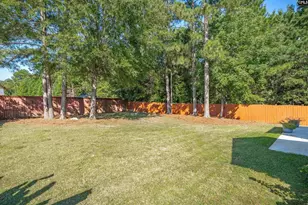 123 Jasmine Bay Ln, Chapin, SC 29036 - Photo 48
