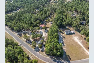 271 Leaning Tree Road, Pelion, SC 29123 - Photo 36