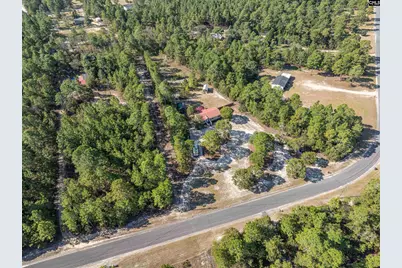 271 Leaning Tree Road, Pelion, SC 29123 - Photo 6