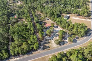 271 Leaning Tree Rd, Pelion, SC 29123 - Photo 6