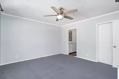 271 Leaning Tree Road, Pelion, SC 29123 - Photo 14