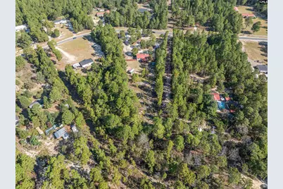 271 Leaning Tree Road, Pelion, SC 29123 - Photo 38