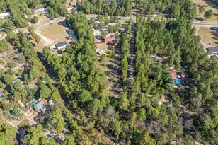 271 Leaning Tree Rd, Pelion, SC 29123 - Photo 38