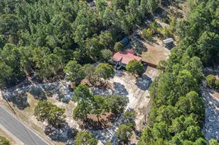 271 Leaning Tree Rd, Pelion, SC 29123 - Photo 42