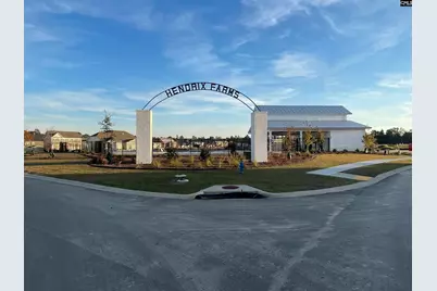 1131 Bolting Road, Lexington, SC 29072 - Photo 2