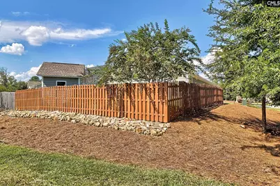 705 Ruskin Drive, Chapin, SC 29036 - Photo 46