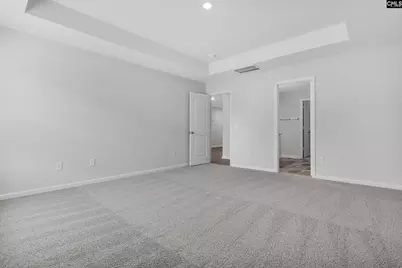 308 Star Capital Way, Pelion, SC 29123 - Photo 12