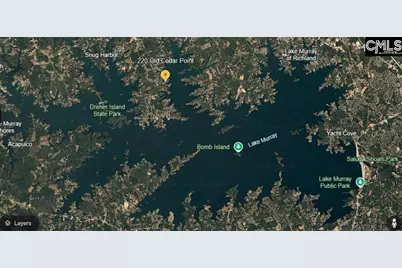 220 Old Cedar Point, Chapin, SC 29036 - Photo 22