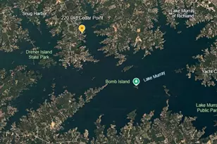 220 Old Cedar Point, Chapin, SC 29036 - Photo 22