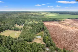 243 Bridalwreath Dr, Saint Matthews, SC 29135 - Photo 8