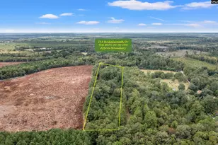 243 Bridalwreath Dr, Saint Matthews, SC 29135 - Photo 2