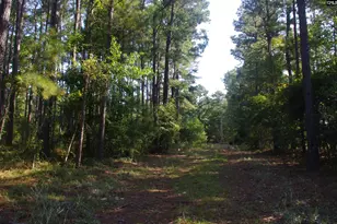 243 Bridalwreath Dr, Saint Matthews, SC 29135 - Photo 16